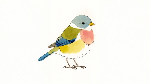 カラフルで可愛い鳥の水彩イラスト no.9